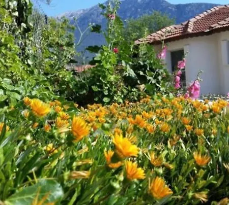Olivia Holiday House *